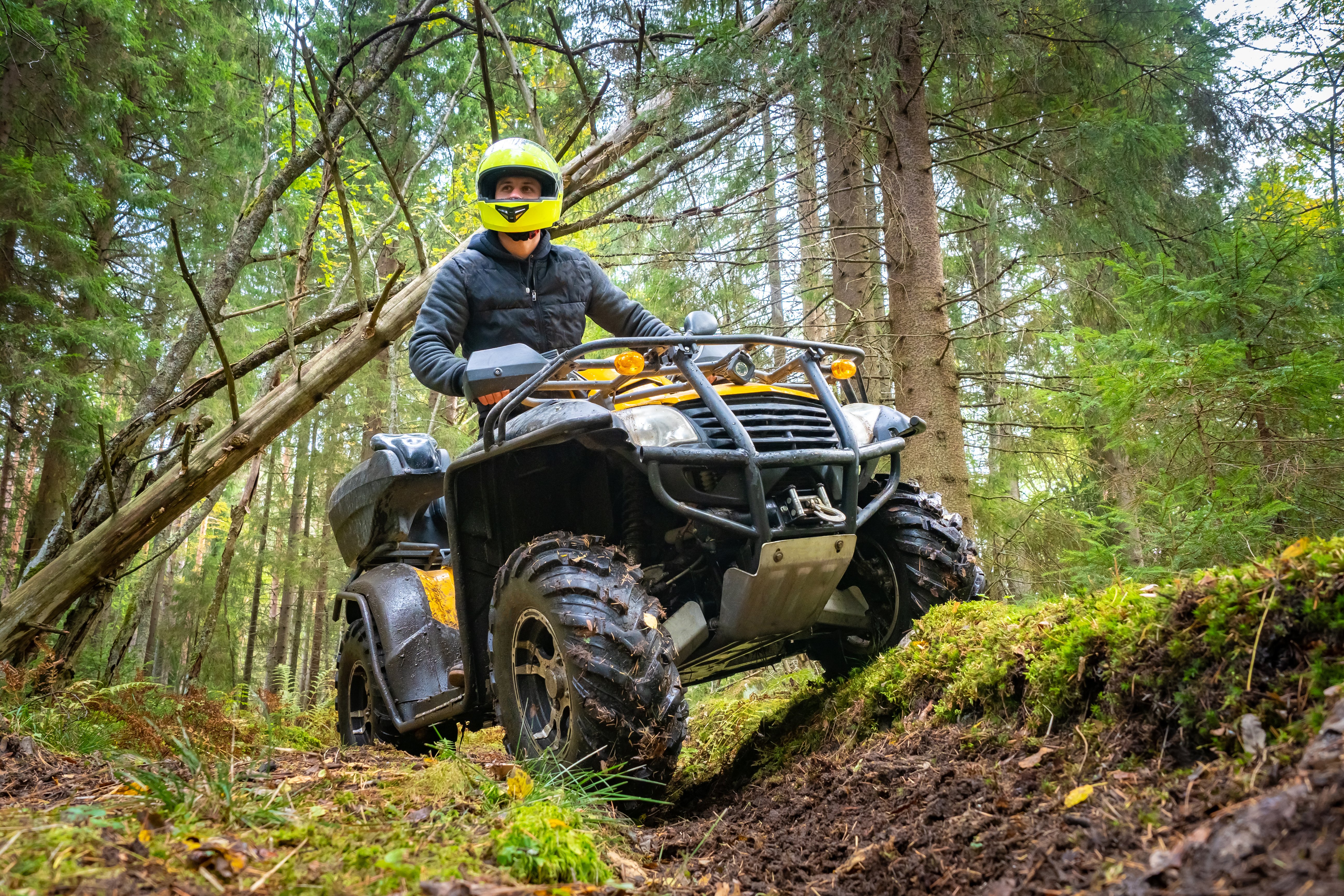 AdobeStock_349414432